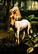 'Blonde Centaur' - 2005 / 2006